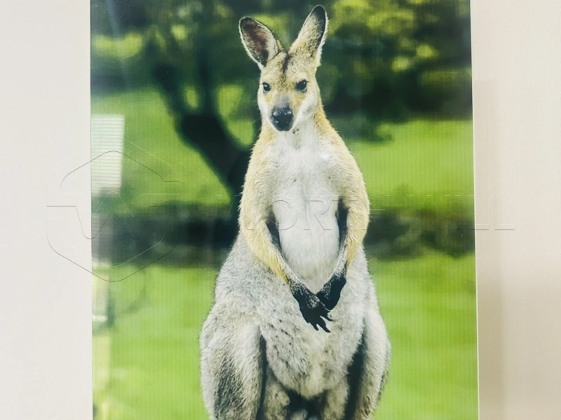 Lámina de Aluminio para Sublimación