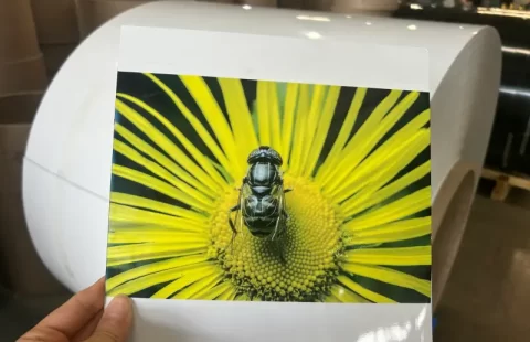 impresión o sublimación en aluminio dorado