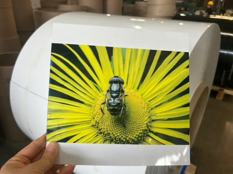 impresión o sublimación en aluminio dorado